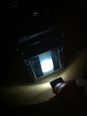 Light_back.JPG