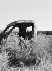 car.jpg