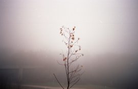 img051s.jpg