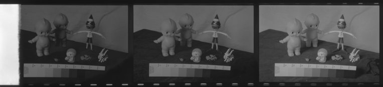 tri-x 12m fresh 1ml hypo pp copy.jpg tri-x 12m fresh 1ml hypo pp copy.jpg