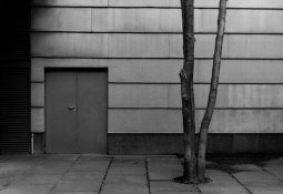 BW FILM Q-2.jpg