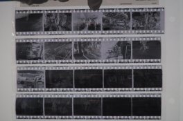 DSC_0110.jpg DSC_0110.jpg