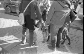 img006.jpg img006.jpg