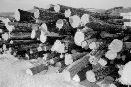 crop0002-kopi 8.jpg