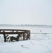 4594006_00006.jpg