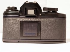 R1190565.JPG