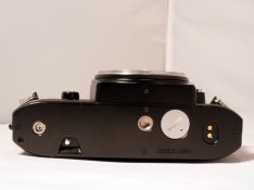 R1190567.JPG