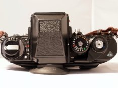 R1190619.JPG
