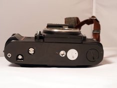 R1190620.JPG
