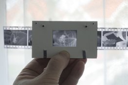 Negative holder Valoy & 1C.jpg