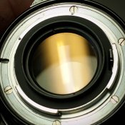 nikon85 (3 of 4).jpg