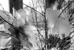 crop0002 16.jpg