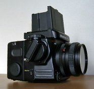 PB016872  WLF web.jpg