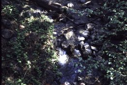 creek.jpg creek.jpg