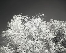 IR Ende August 2012.jpg