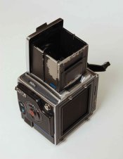 DSC_0116.jpg