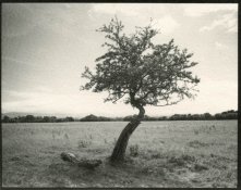 7745637_orig.jpg