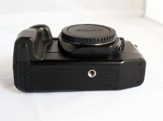 R1191113.JPG