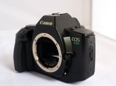 R1191124.JPG