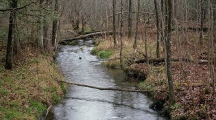 img344.jpg