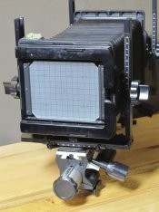 IMG_4926.jpg