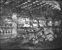 LaurasNegativeGEH2013 APUG.jpg