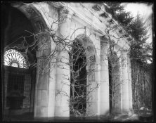 Robert's Neg APUG.jpg