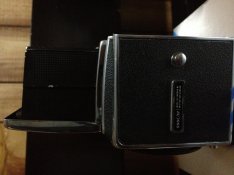 IMG_3196.jpg