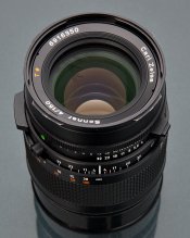 MG_2828.jpg