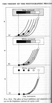 Local inhibition adn adaptation.jpg Local inhibition adn adaptation.jpg