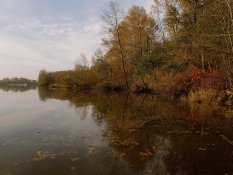 Autumnal-4c-2012-11-09.jpg