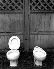 Toilets.jpg