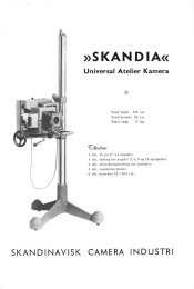 skandia1.jpg