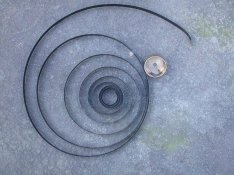No-10-mainspring-and-case.jpg