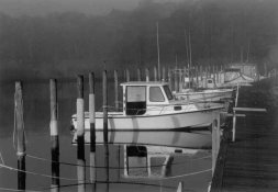 Chesapeake 21_J9_pn.jpg