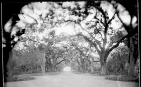 oaks at rosedown - lo res (2).jpg