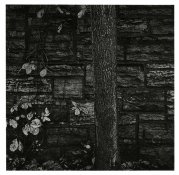 2007 Bohemian Flats 001.jpg