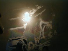 PC110068.JPG