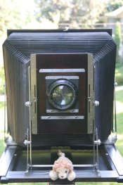 Ebony Front View.jpg