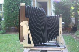 Ebony Side View.jpg