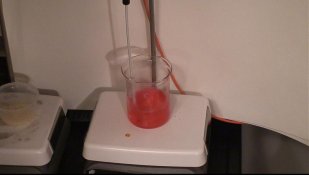 Ortho ready to go.jpg