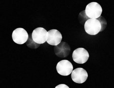 dodgy leaf shutter bokeh.jpg