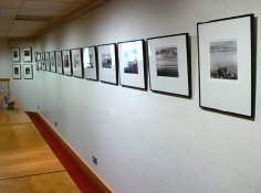exhibition_5.jpg