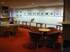 exhibition_6.jpg