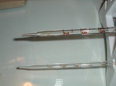 DSCN0012.jpg