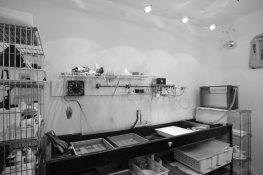 Darkroom-7.jpg