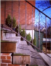 Railing & pines small.jpg