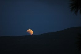 DSC_6289c.JPG