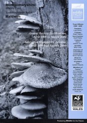 mwtreview2000.jpg