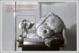 240 RGB CORECTAT II rama REDUS.jpg